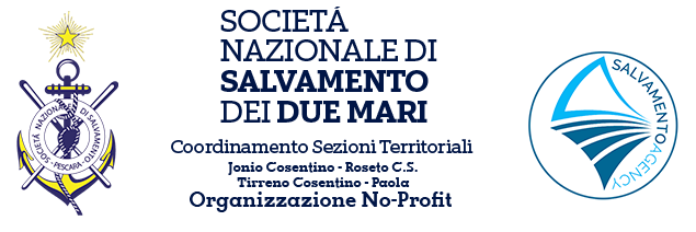 LogoSalvamento