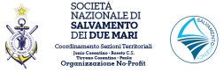 LogoSalvamento
